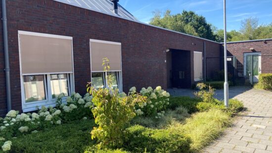 Eldershof 10-11