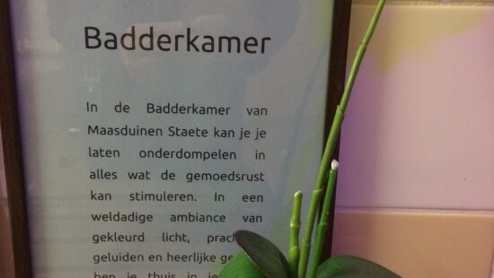 Maasduinen Staete