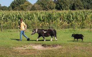 Tónnieje-Hoeve