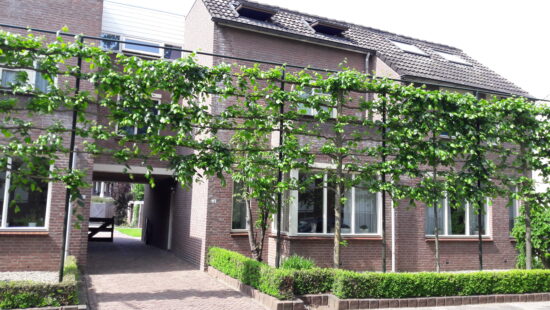 Het Zand 2a, 2b, 2c