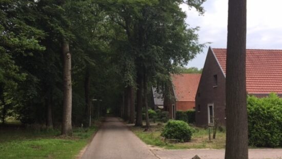 Kastanjelaan 19
