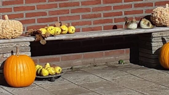 Klavertje 11