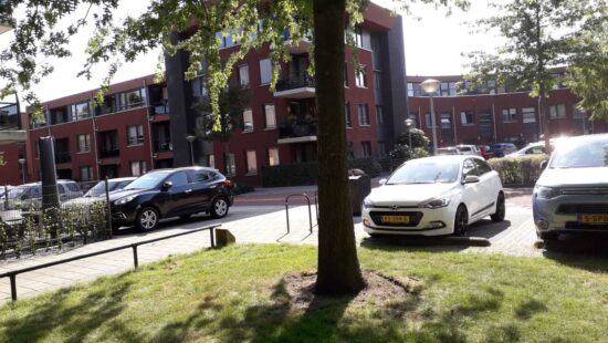 Rooijsestraat