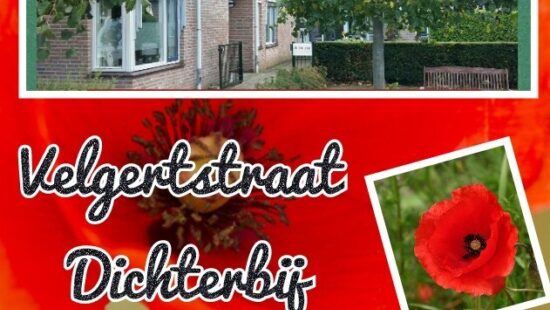 Velgertstraat