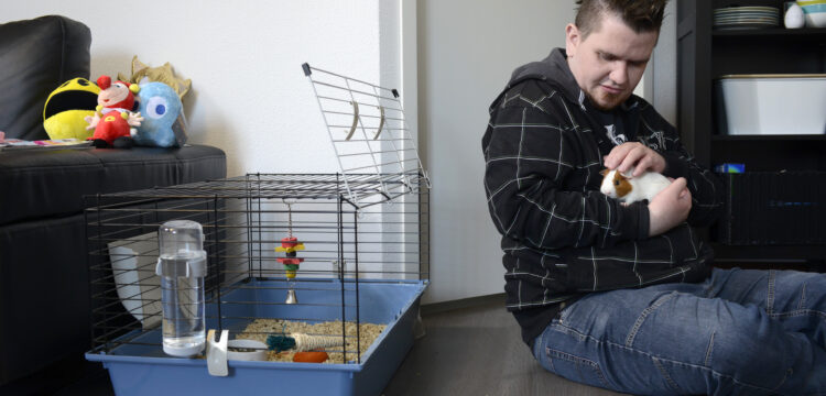 Specifieke audits