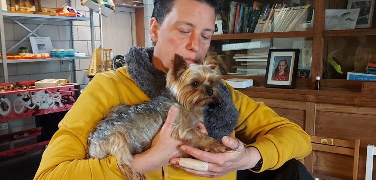 Dagbesteding met honden: 'onvoorwaardelijke liefde'