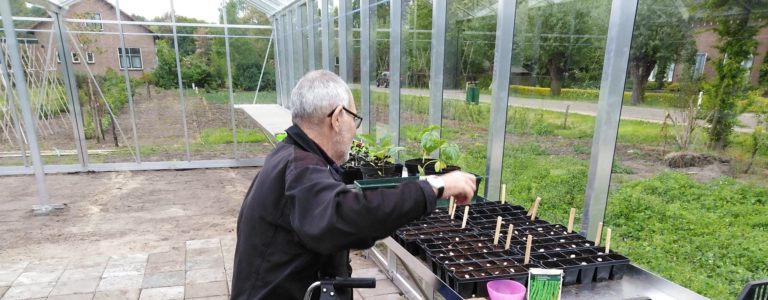 Plantjes inzaaien